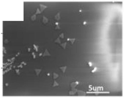 Preparation method of gold nanometer triangular sheet with surface enhanced raman scattering