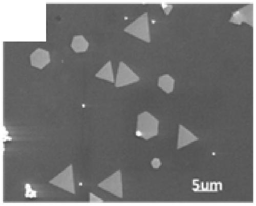 Preparation method of gold nanometer triangular sheet with surface enhanced raman scattering