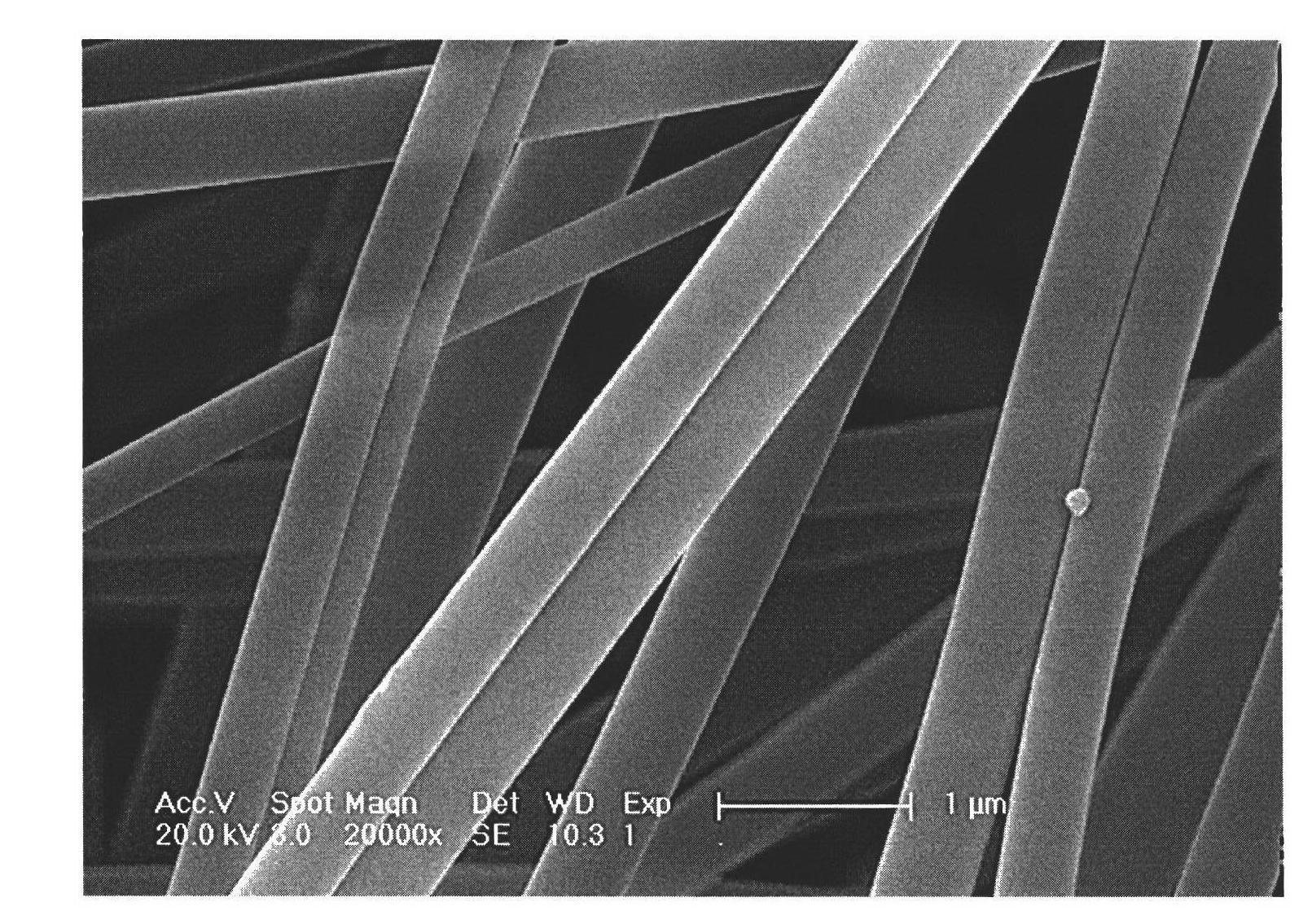 Method for preparing magneto-optical difunctional two parallel strand composite nanofiber bundle