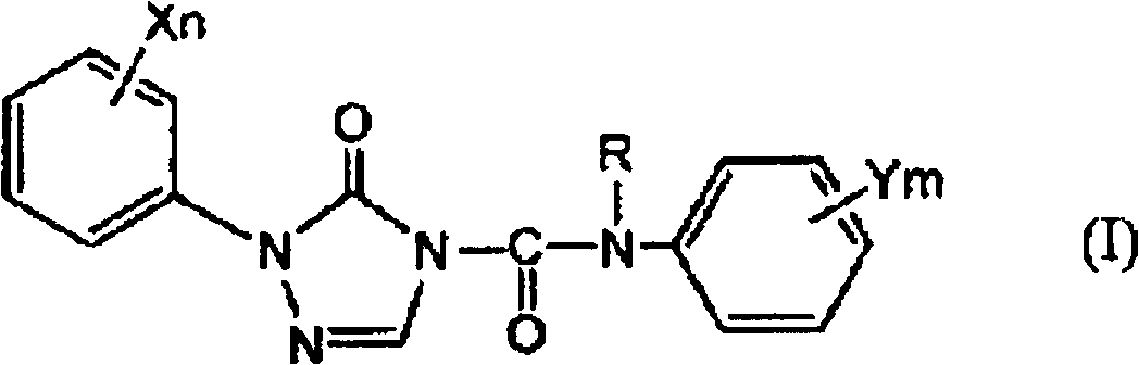 Preparation method of 1-substituted-4-carbamoyl-1,2,4-triazol-5-one derivatives