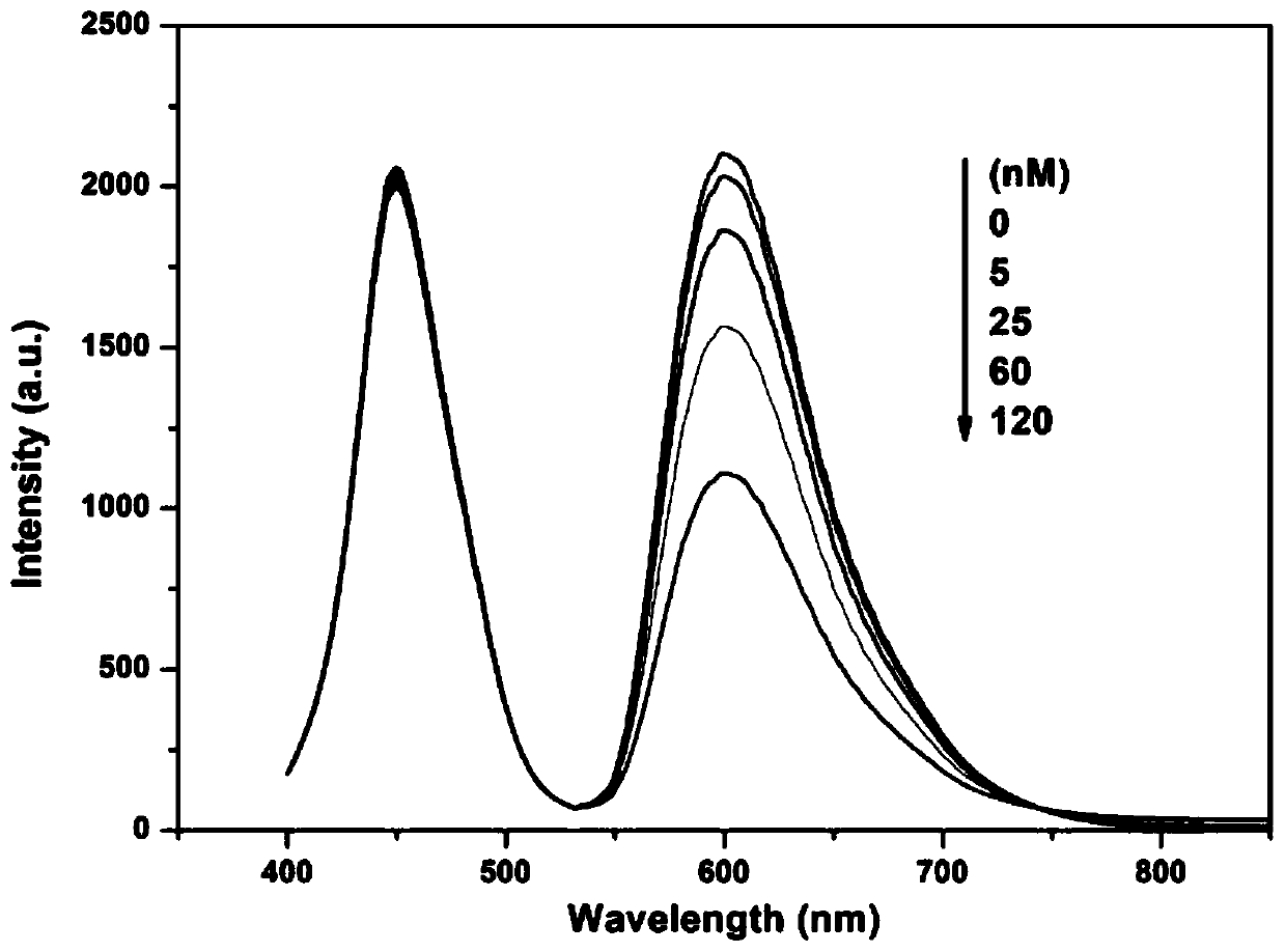 Ratiometric fluorescent probe, and preparation method and application thereof