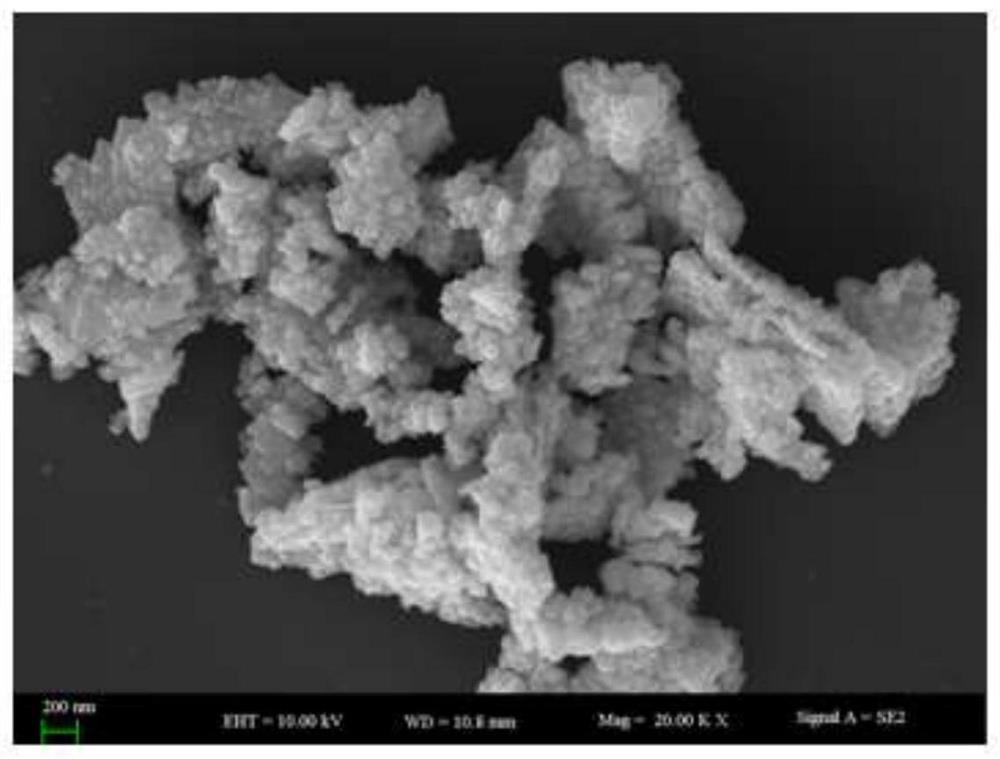 Preparation method of Bi/BiVO4-CdS photocatalyst rich in oxygen vacancies