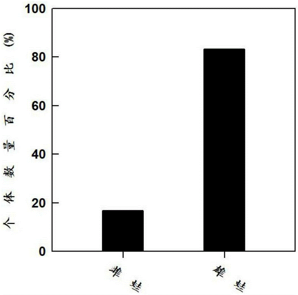 Method for controlling hoplobatrachus tigerinus sex ratio and application of method