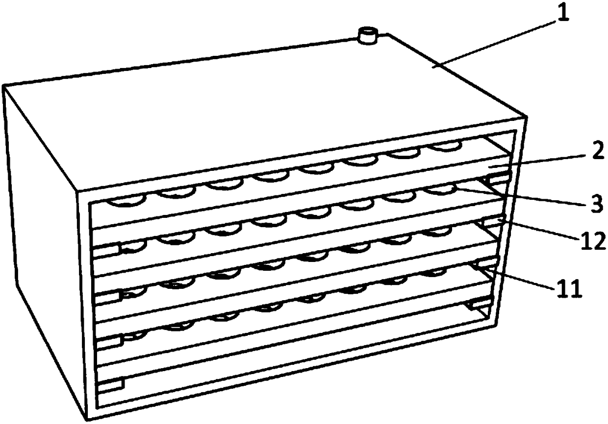 Flexible egg transportation device