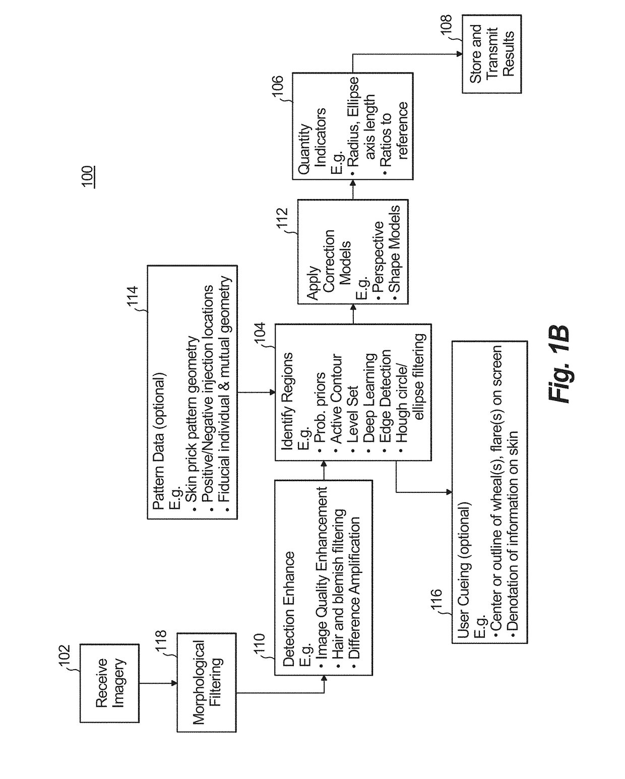 Systems and methods for image-based quantification for allergen skin reaction