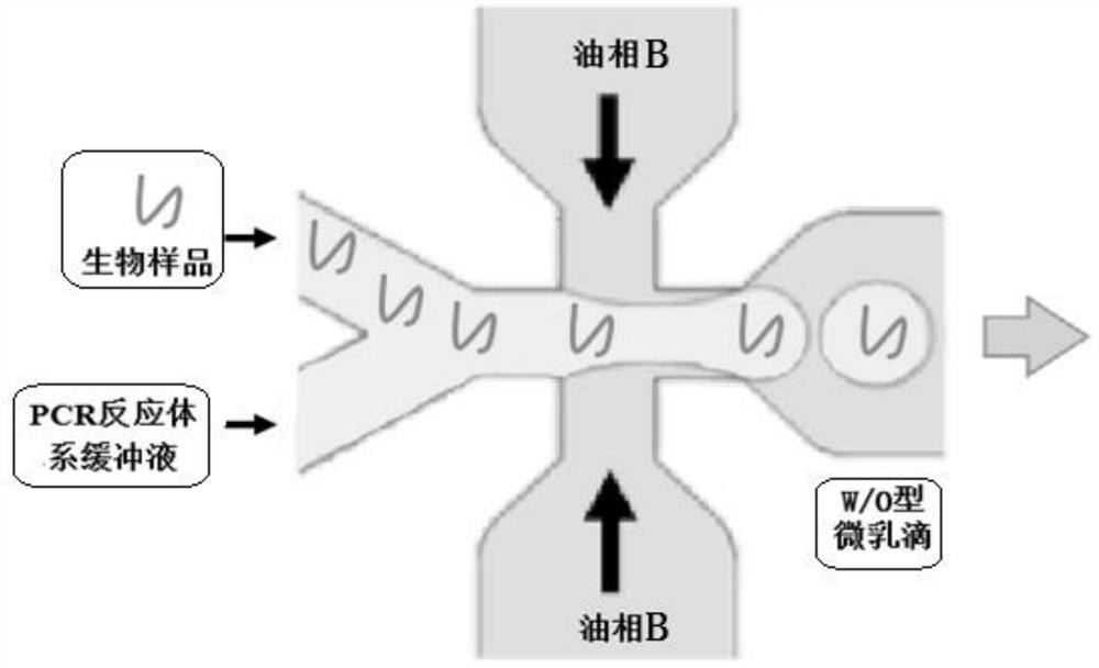 A kind of microemulsion droplets of products after w/o/w type pcr amplification based on microfluidic system and preparation method thereof