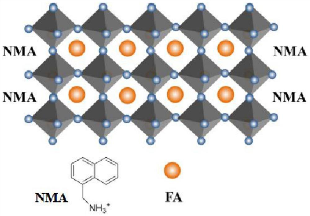 Perovskite gain medium, preparation method thereof and application of perovskite gain medium in continuous optical pump laser at room temperature