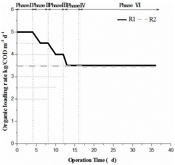 Intensified starting and stable operation method for aerobic granular sludge