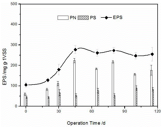 Intensified starting and stable operation method for aerobic granular sludge