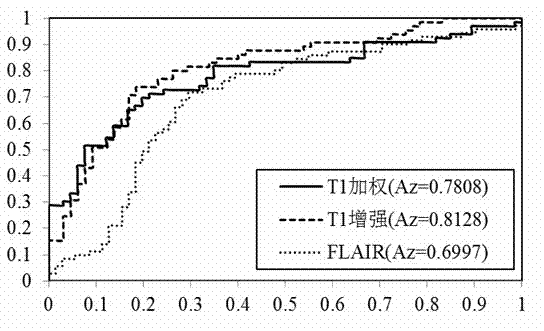 Method for detecting P53 protein expression in brain tumor