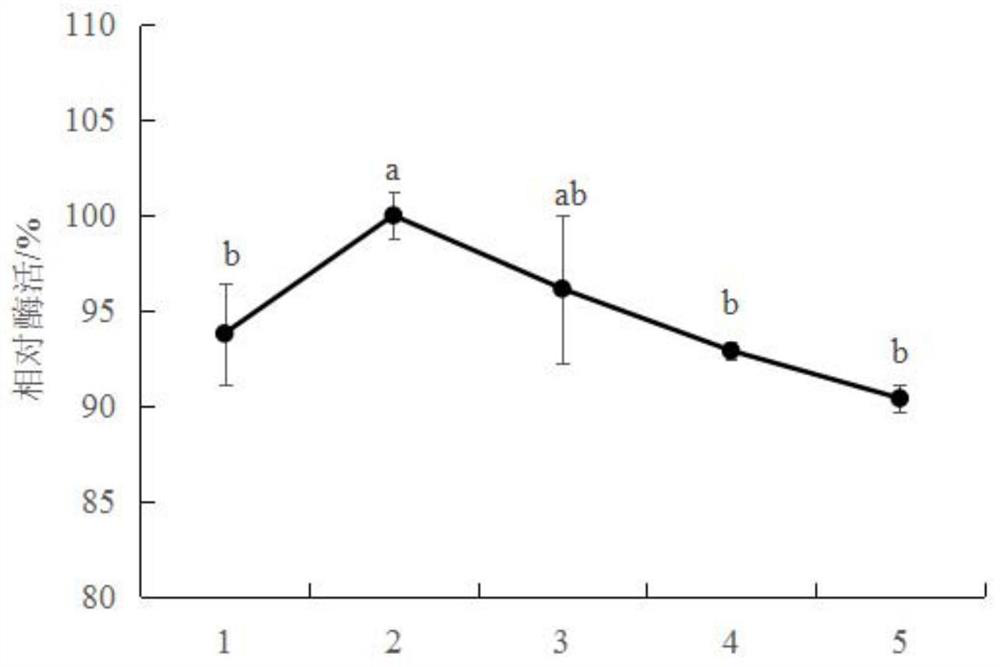 Bacillus subtilis strain sh21 producing chitinase, method for producing chitinase, microbial preparation and application