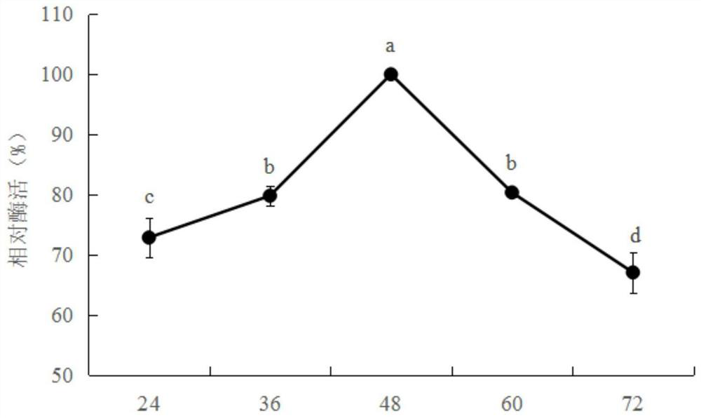 Bacillus subtilis strain sh21 producing chitinase, method for producing chitinase, microbial preparation and application