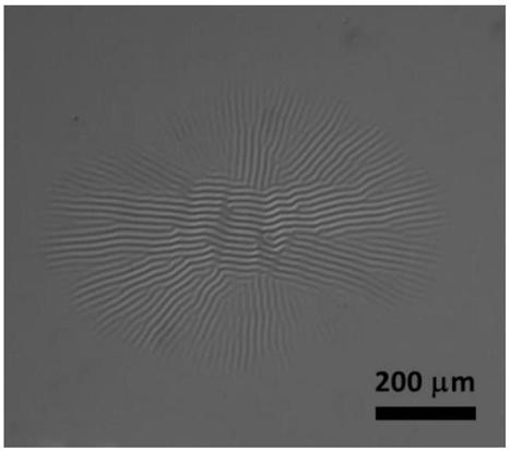 Preparation method of full-light-control azobenzene thin film surface reversible wrinkle microstructure