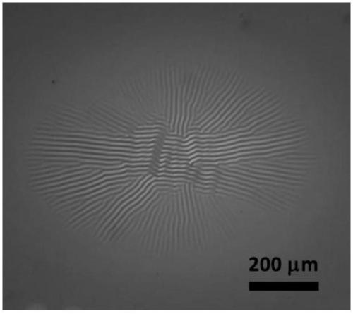 Preparation method of full-light-control azobenzene thin film surface reversible wrinkle microstructure