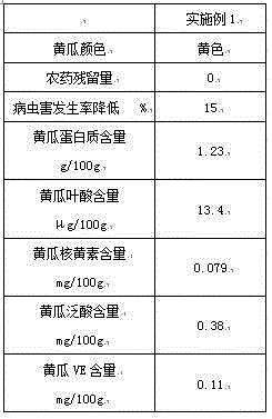 Yellow cucumber and planting method thereof and special light-scattering, cooling and heat radiation control film