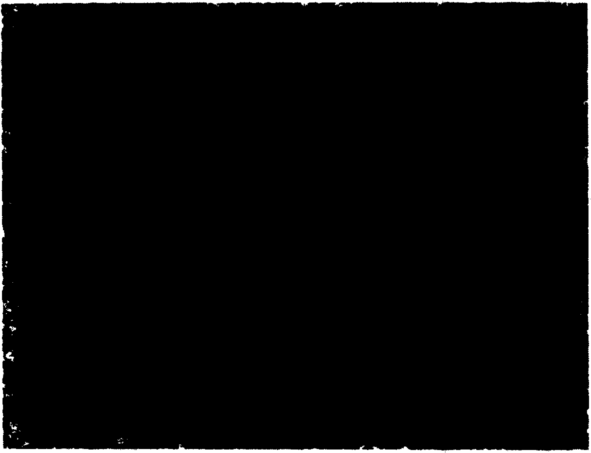 Method of growing nano-rod shaped zinc oxide by hydrothermal decomposition