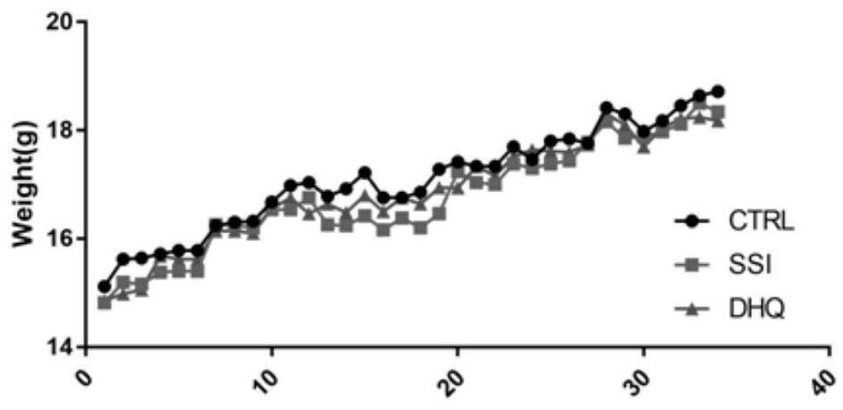 Application of toxifolin in treating or preventing fat liquefaction and necrosis after lipofilling