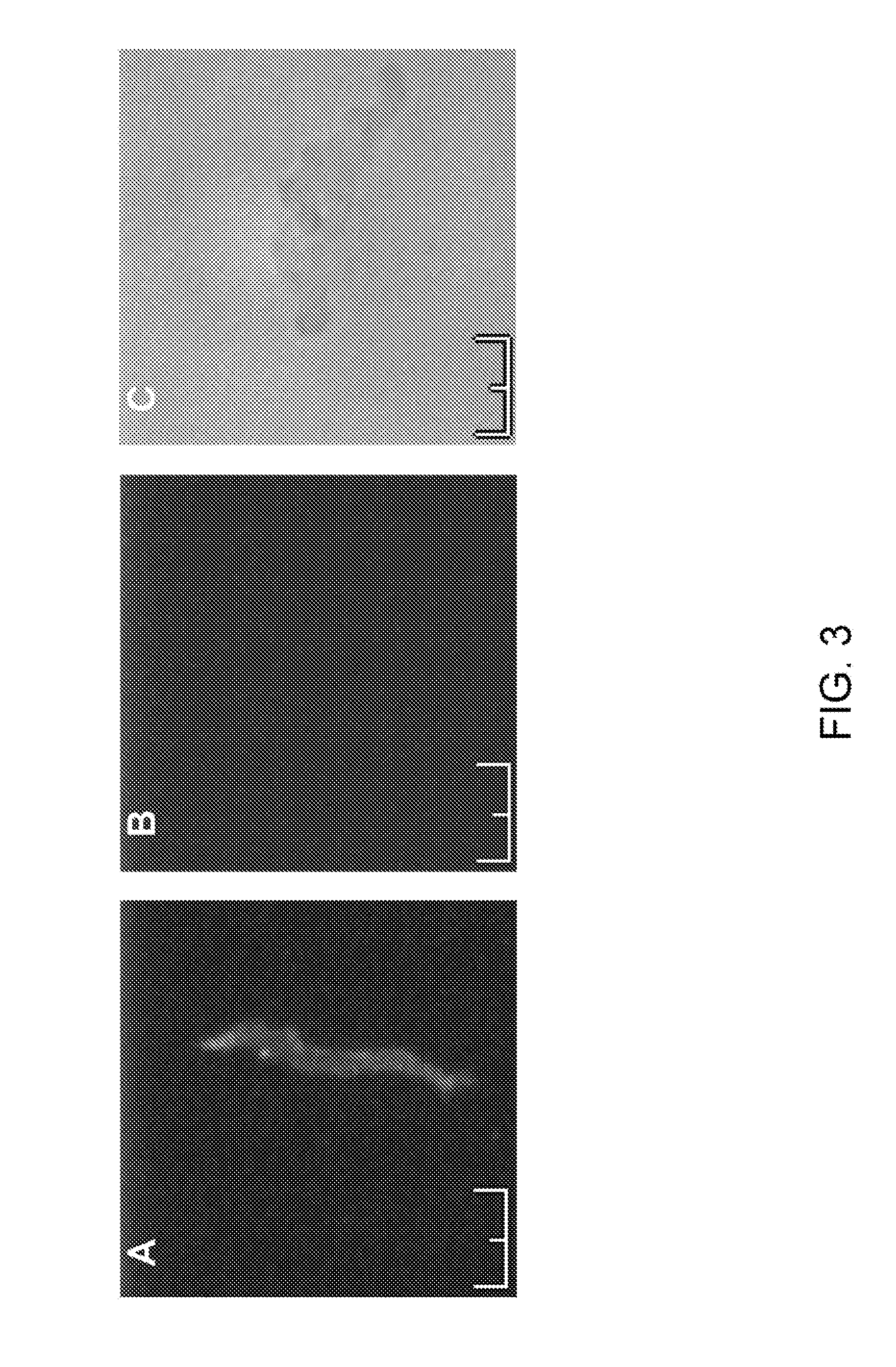 Methods of using proteinacious channels to identify pharmaceutical treatments and risks, and treatments resulting therefrom