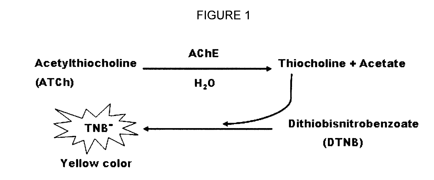 Biosensors utilizing ink jet-printed biomolecule compatible sol gel inks and uses thereof