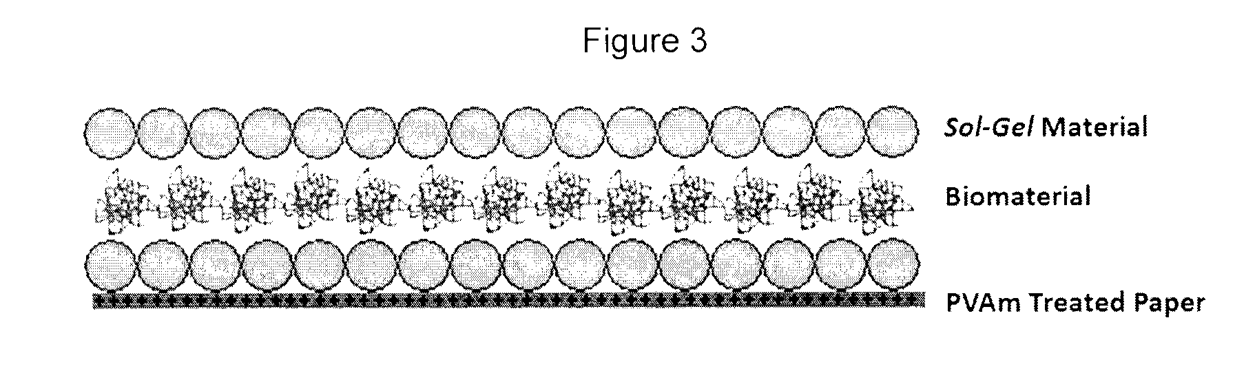 Biosensors utilizing ink jet-printed biomolecule compatible sol gel inks and uses thereof