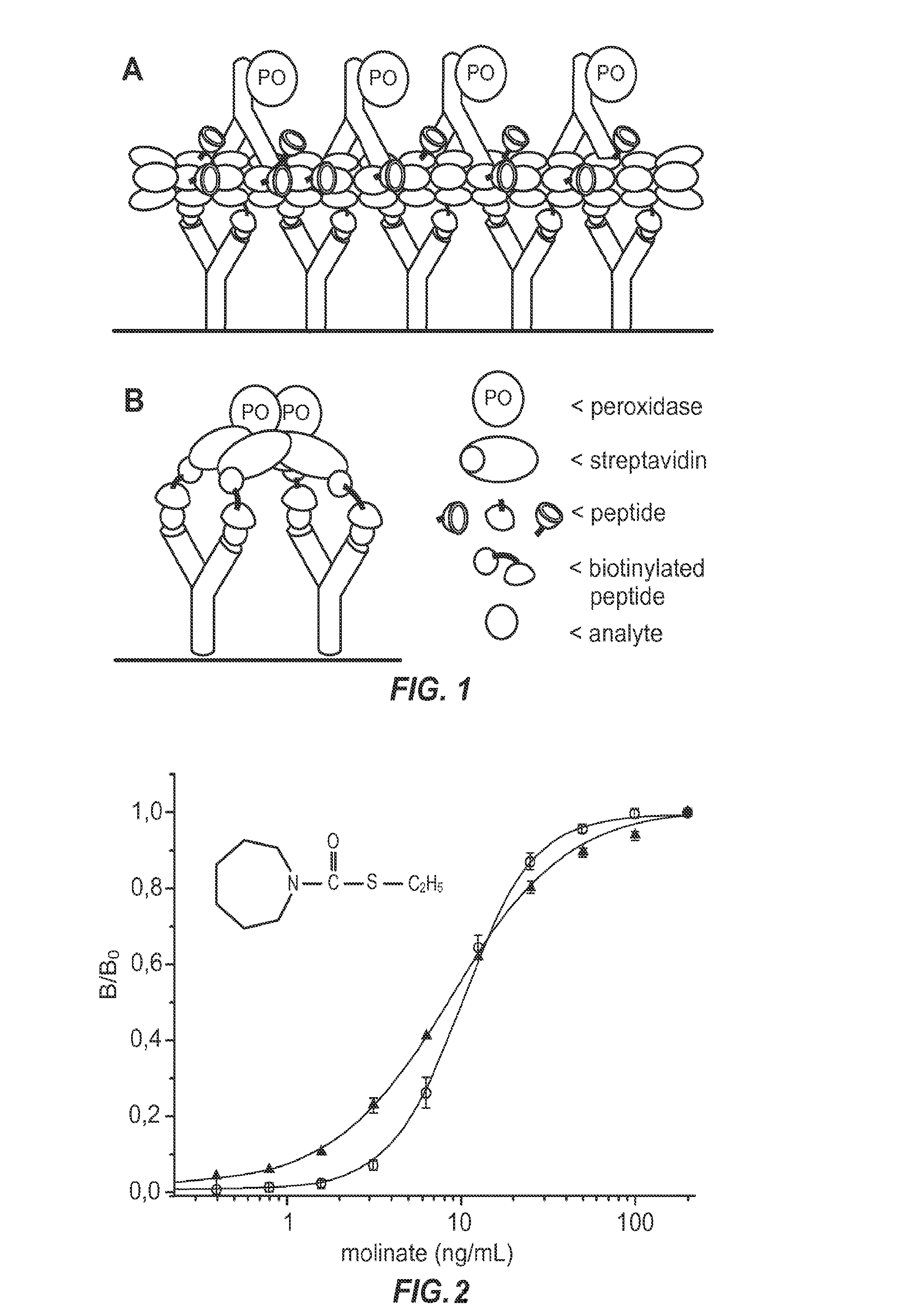 Non-competitive immunoassays to detect small molecules using nanopeptamers