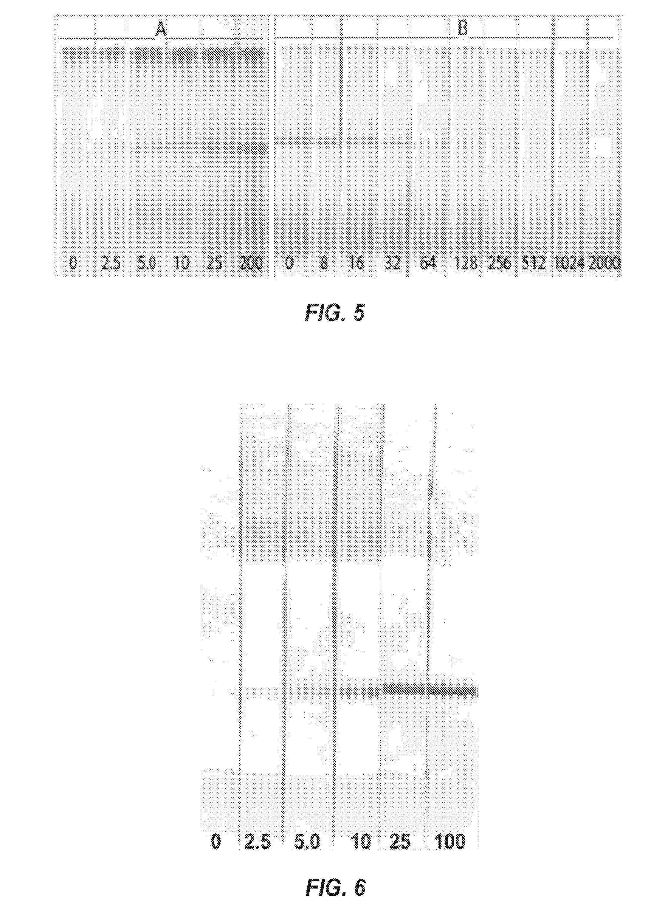 Non-competitive immunoassays to detect small molecules using nanopeptamers