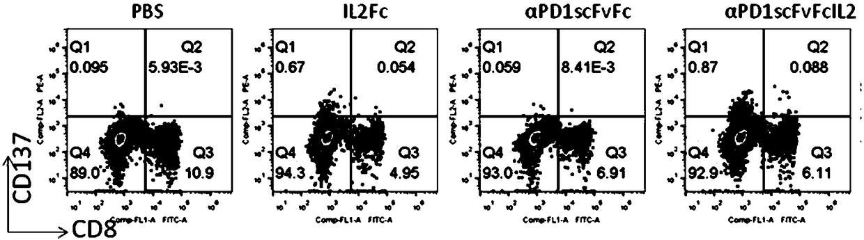 Fusion protein for restoring function of failing immune cell and application thereof