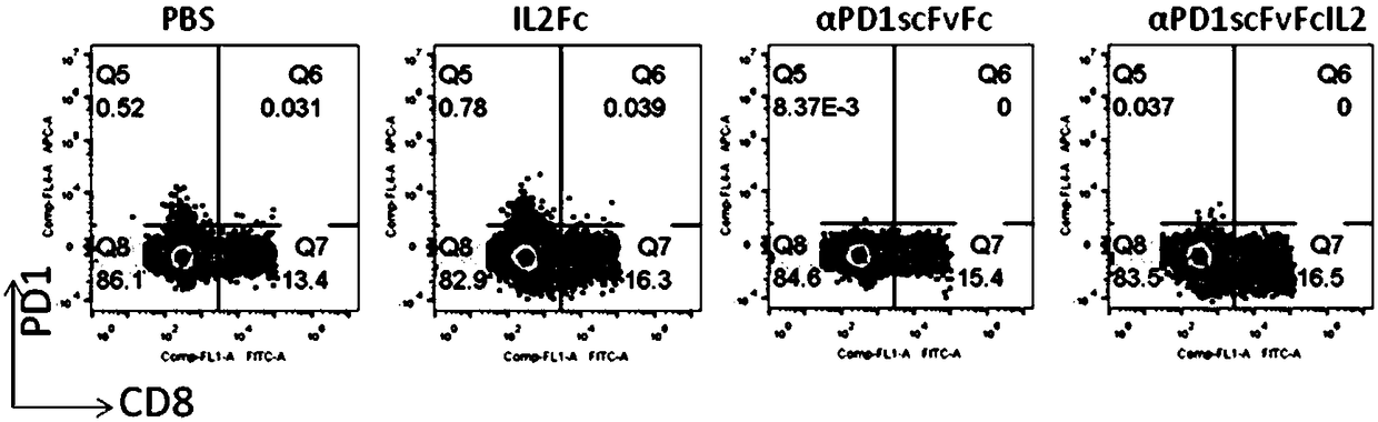 Fusion protein for restoring function of failing immune cell and application thereof