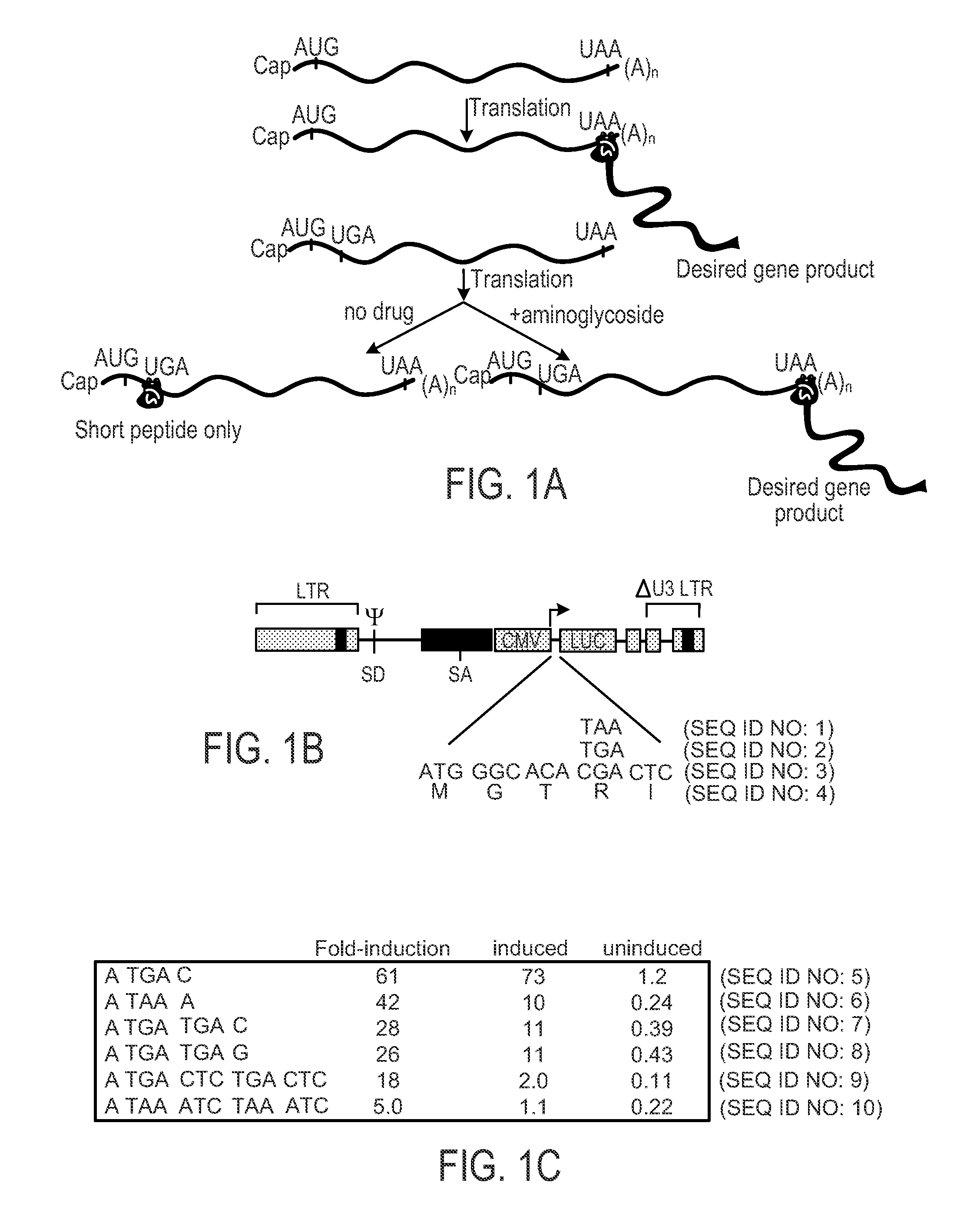 Methods And Compositions For Regulating Gene Expression