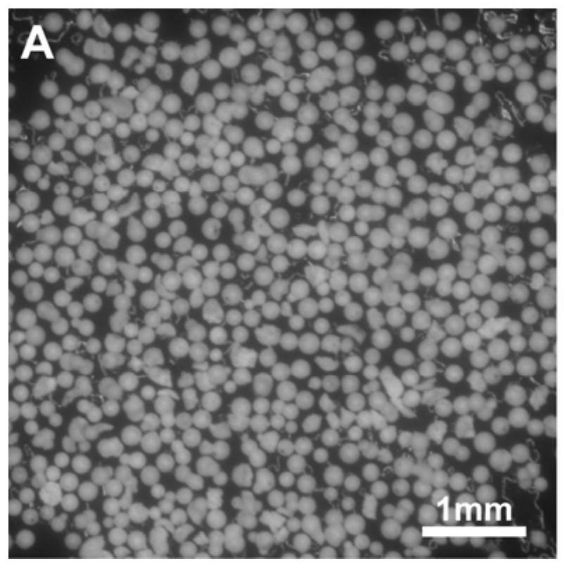 Preparation method and application of porous geopolymer microspheres