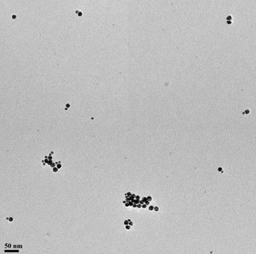 Method for detecting aflatoxin by asymmetrical gold nanoparticle dimer immunosensor