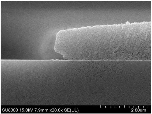 Photosensitive resin composition, application thereof and color filter