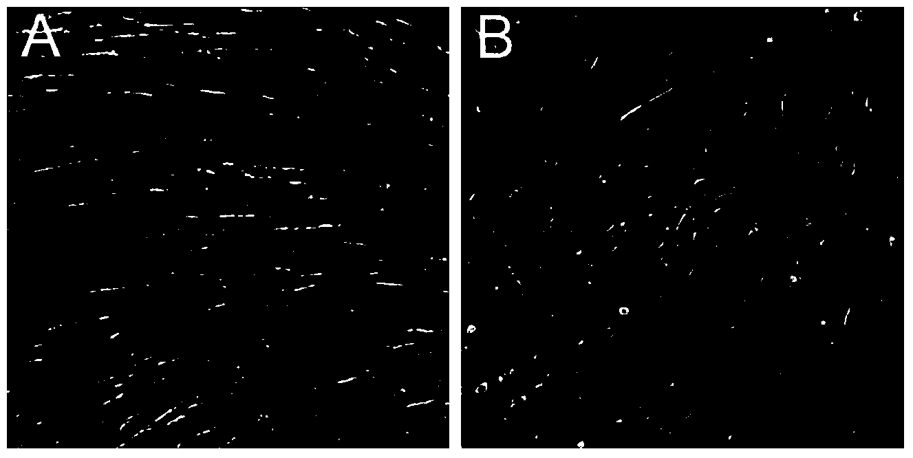 Method for induced differentiation of inner ear hair cells by virtue of human mesenchymal stem cells