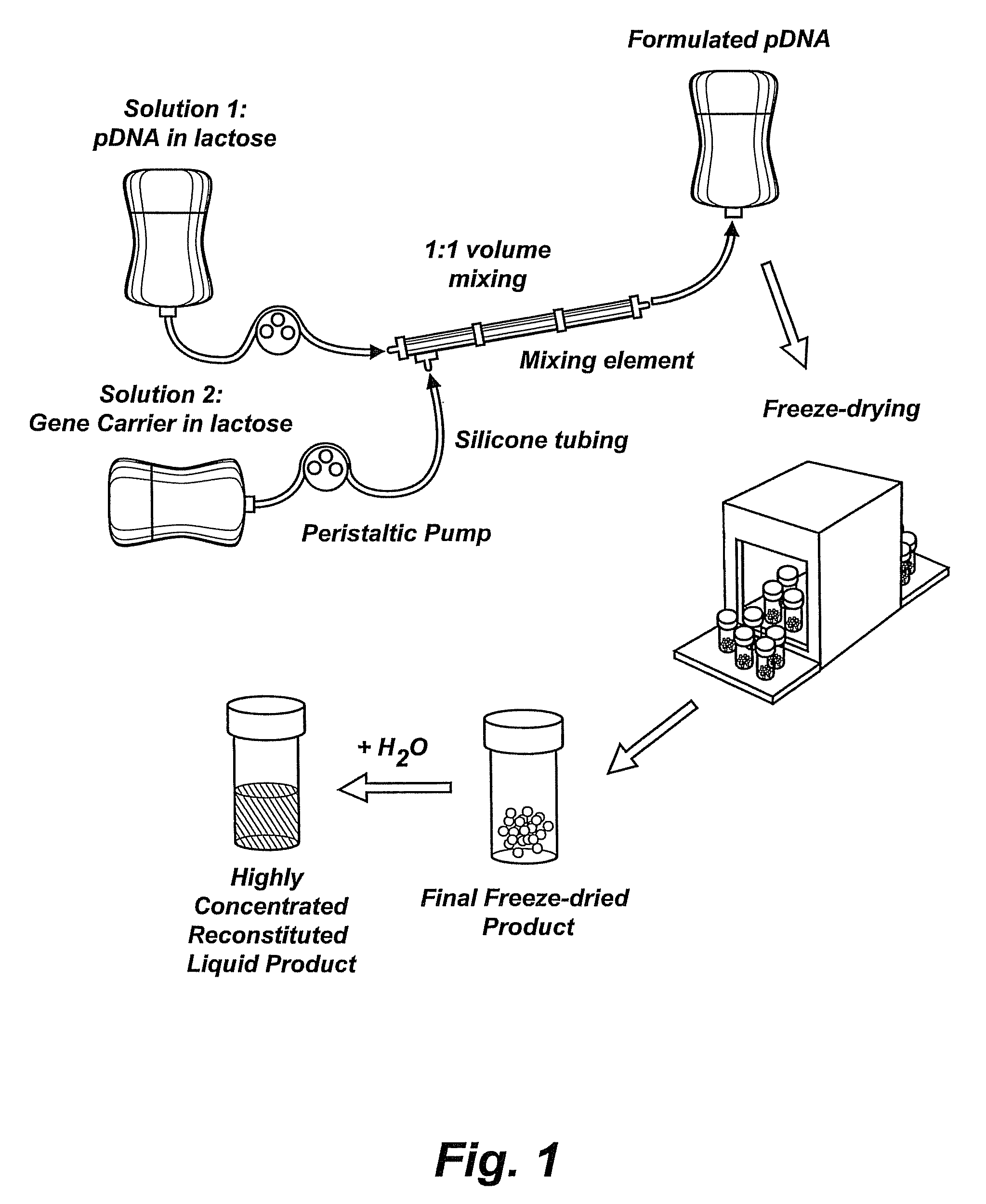 Nucleic acid-lipopolymer compositions