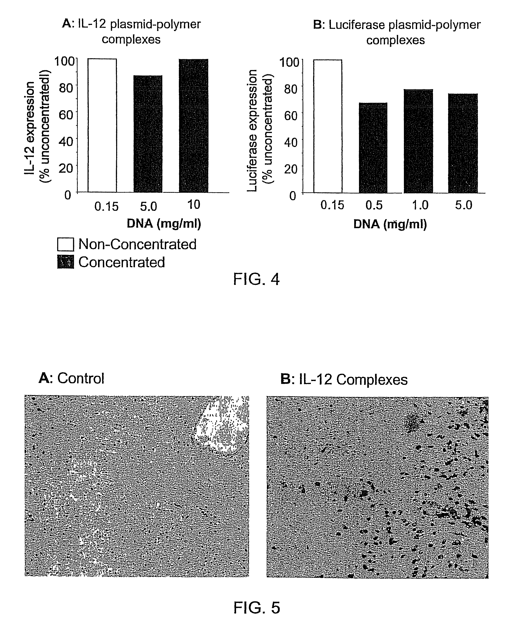Nucleic acid-lipopolymer compositions