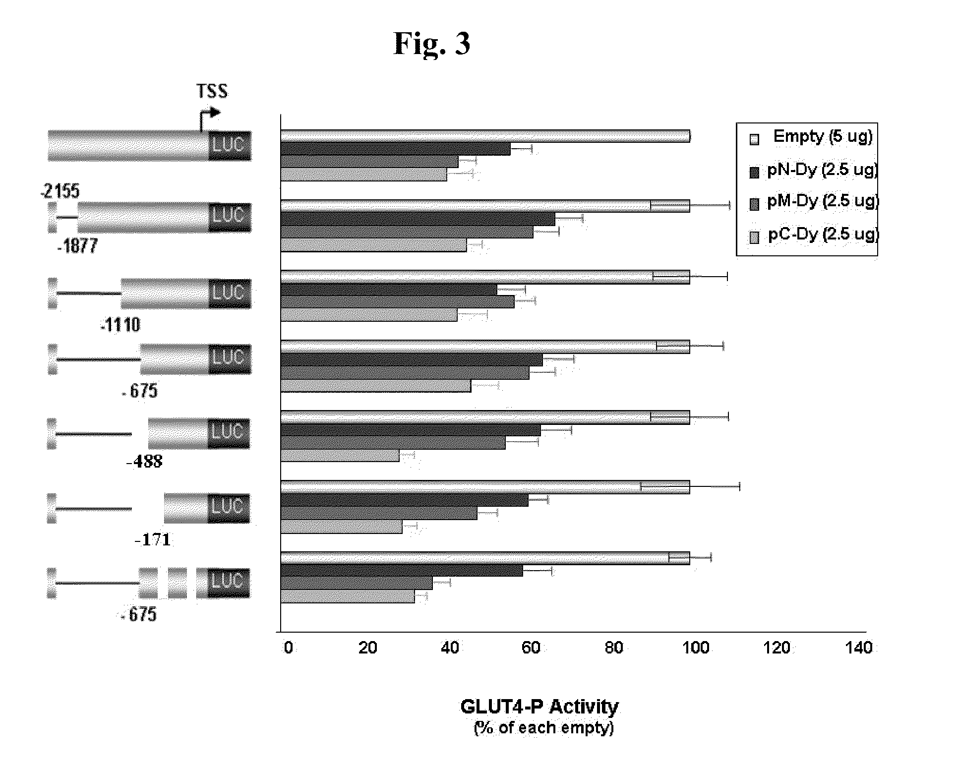 Modulation of GLUT4 Gene Promoter activity BY AHNAK