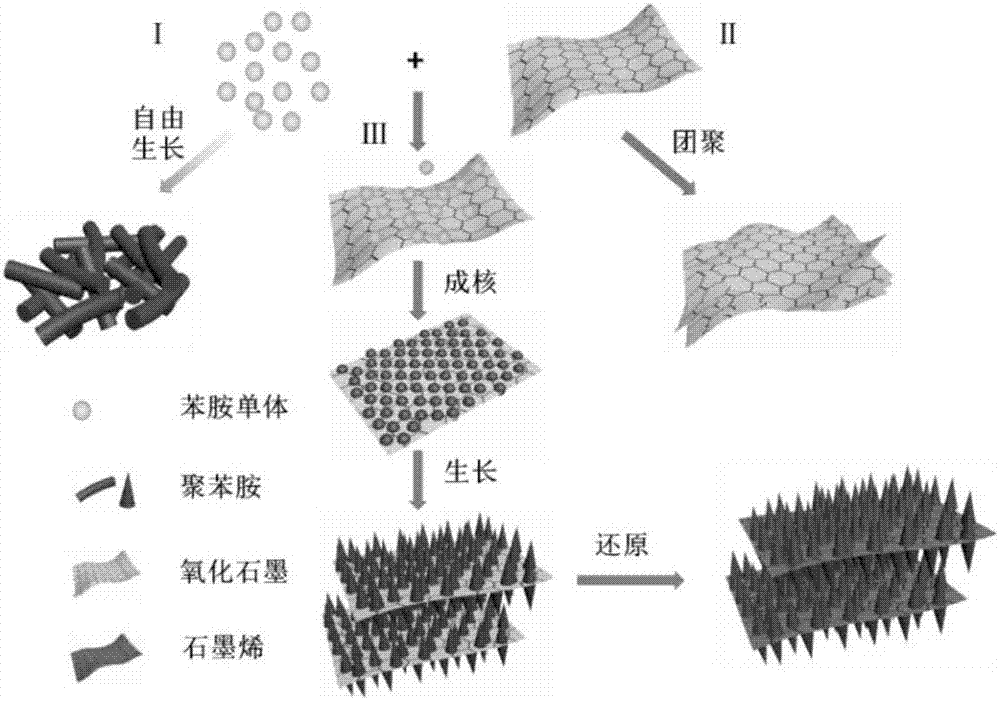 A kind of graphene/polyaniline nanorod array composite material and its preparation method and application