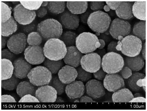 Preparation of ferromagnetic nanoparticle and application thereof in extraction and removal of micro-plastics