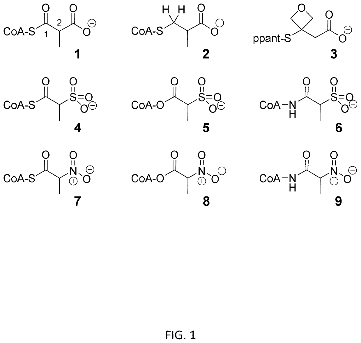 Malonyl-coenzyme A mimics as fatty acid synthase inhibitors and methods of use