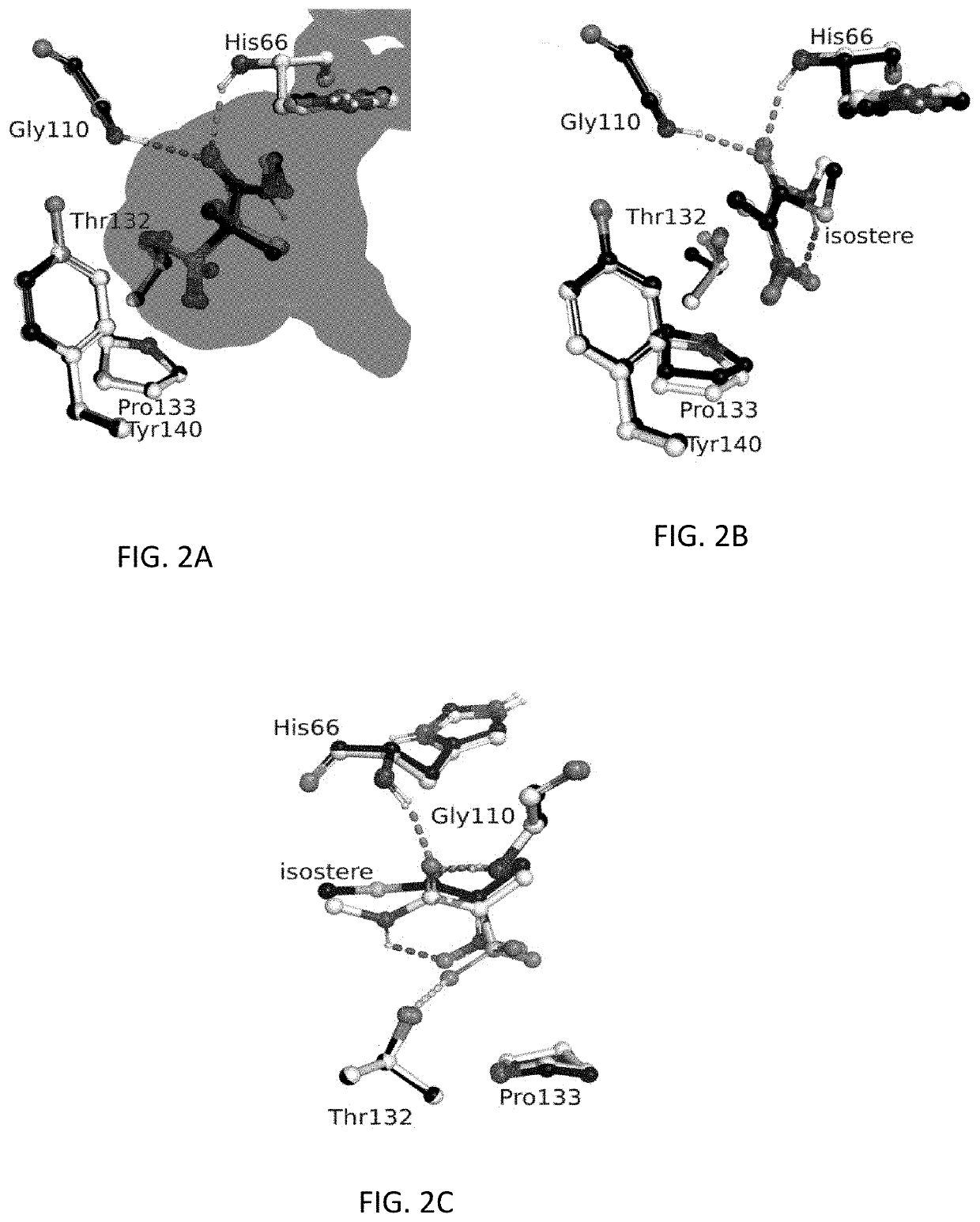 Malonyl-coenzyme A mimics as fatty acid synthase inhibitors and methods of use