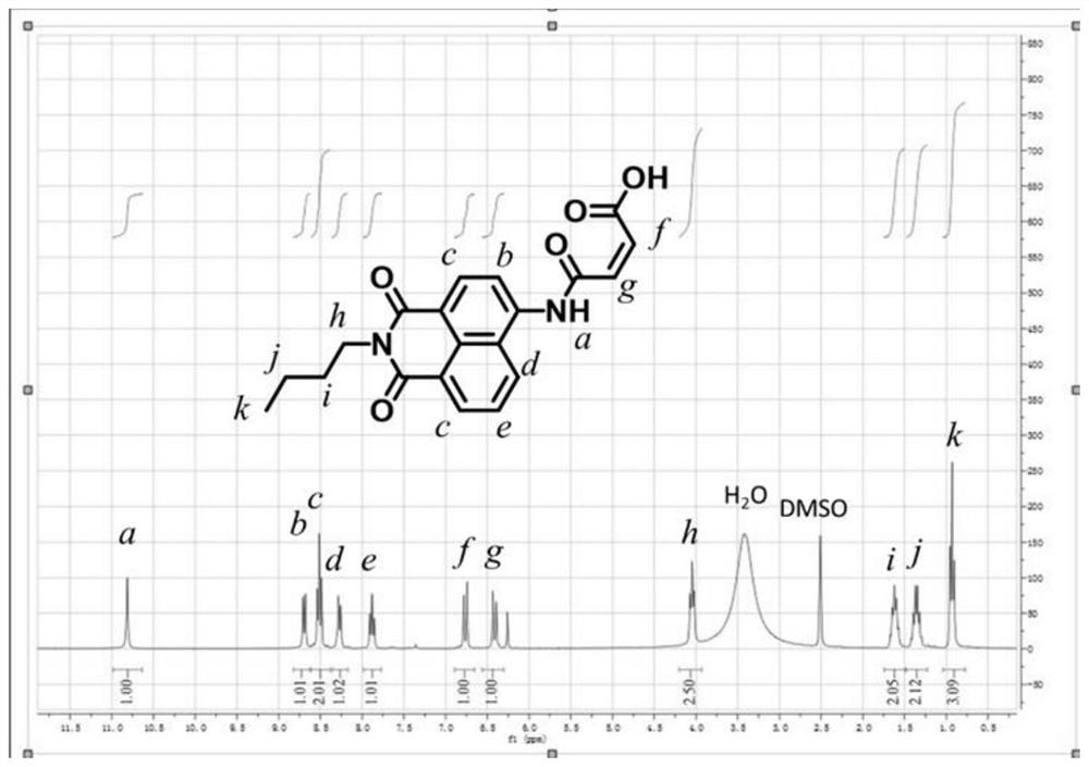 Polymer fluorescent probe and application thereof