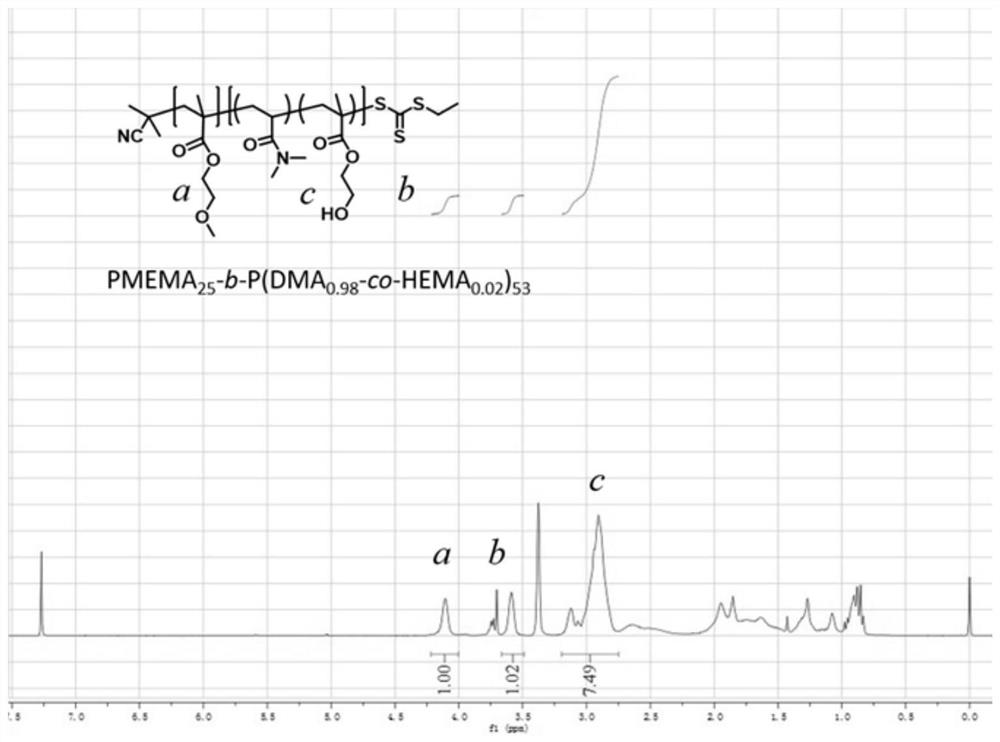 Polymer fluorescent probe and application thereof