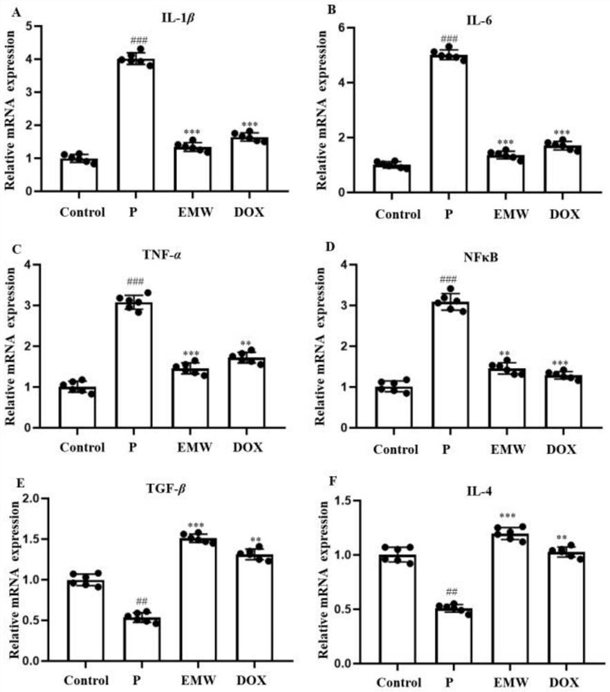 Application of Ermiao pill in preparation of medicine for treating or preventing periodontitis