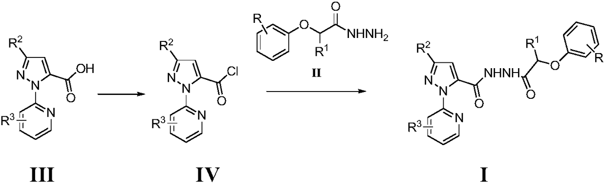 n1-(3-substituted pyrazole-5-formyl)-substituted phenoxyalkylhydrazide derivatives and their application