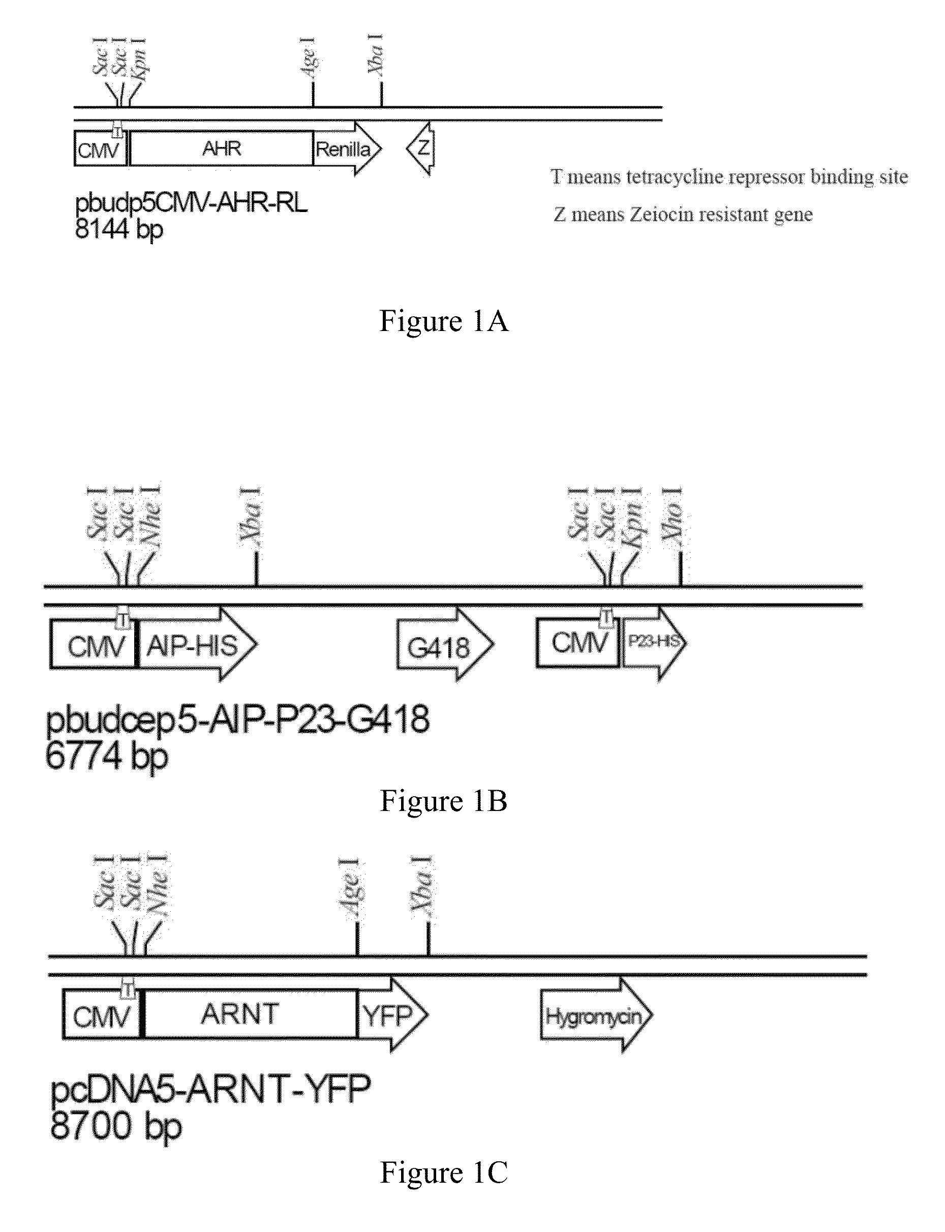 Method and system of detecting dioxin-like compounds