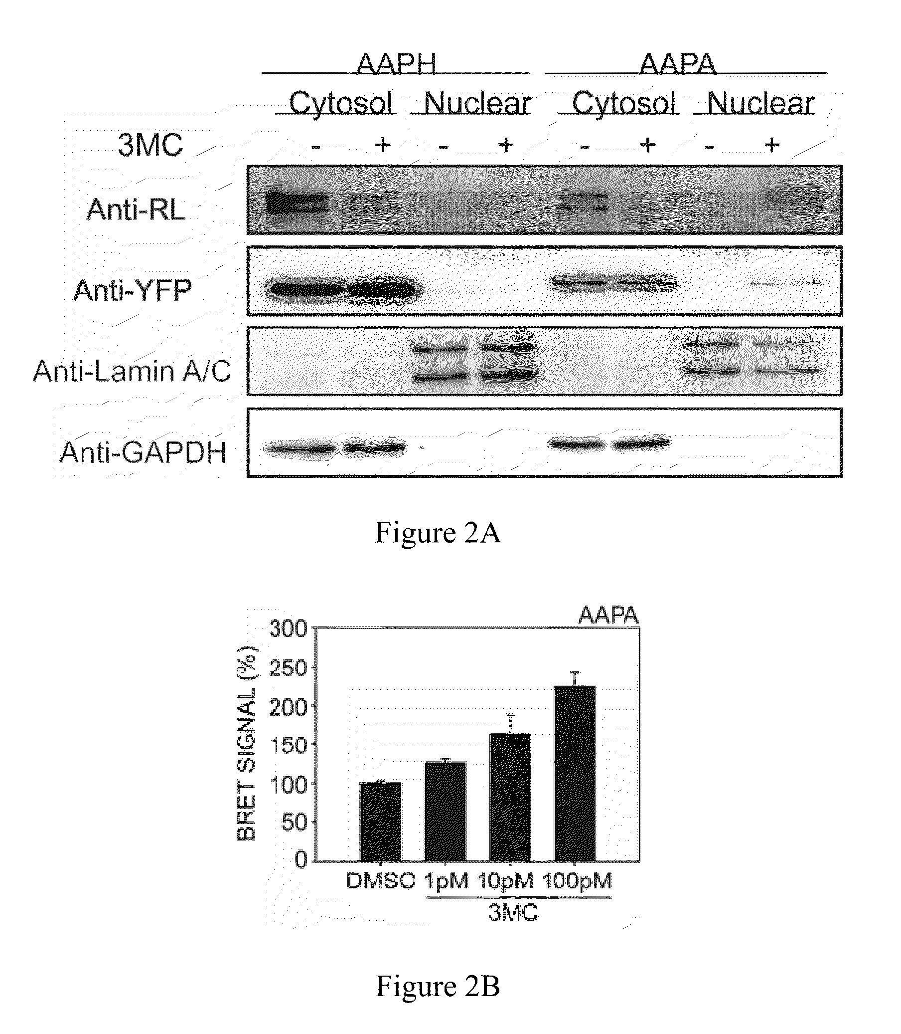 Method and system of detecting dioxin-like compounds