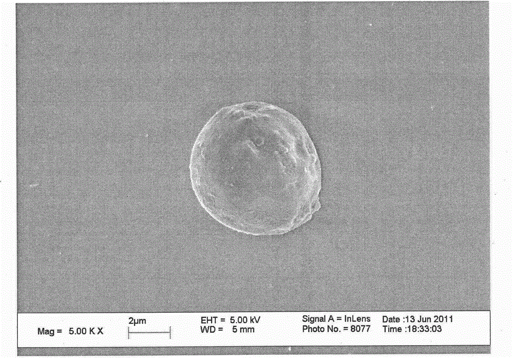 Vidarabine monophosphate microsphere drug delivery system and preparation method thereof