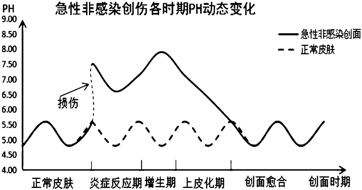 PH sensitive intelligent dressing