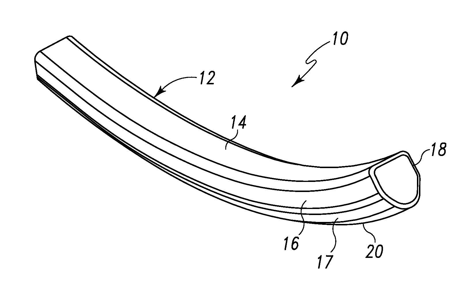 Spinal Rod