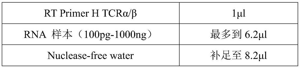 T cell receptor and application thereof